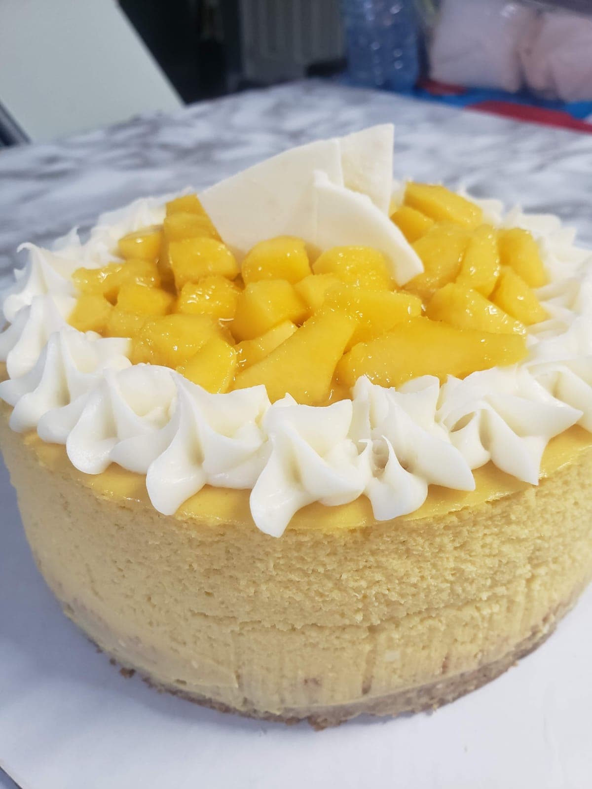 Mango Paradise